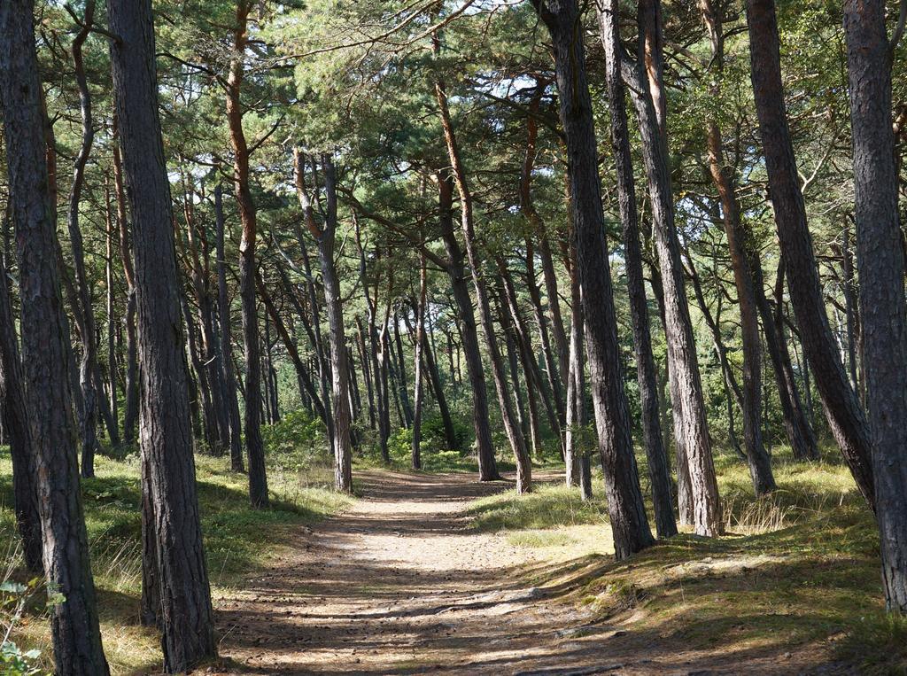 Anandaresort - Vegewakacje Władysławowo Kültér fotó