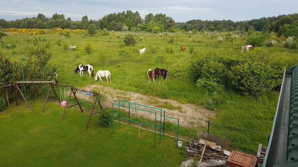 Anandaresort - Vegewakacje Władysławowo Kültér fotó
